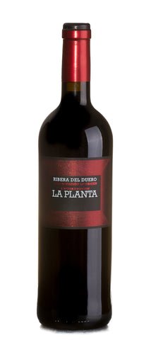 Arzuaga Vino Tinto La Planta Tempranillo 2019|Red Wine|750 ml
