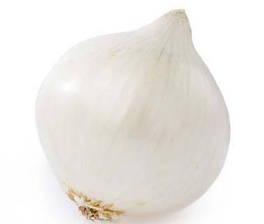 Cebolla Perla Granel|White Onion|1 Unidad