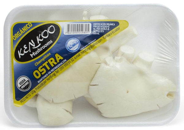 Kenkoo Champiñon Ostra Orgánica|Organic Oyster Mushroom|120 gr