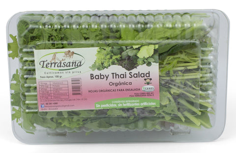 Terrasana Ensalada Orgánica Baby Thai|Organic Baby Thai Salad|100 gr