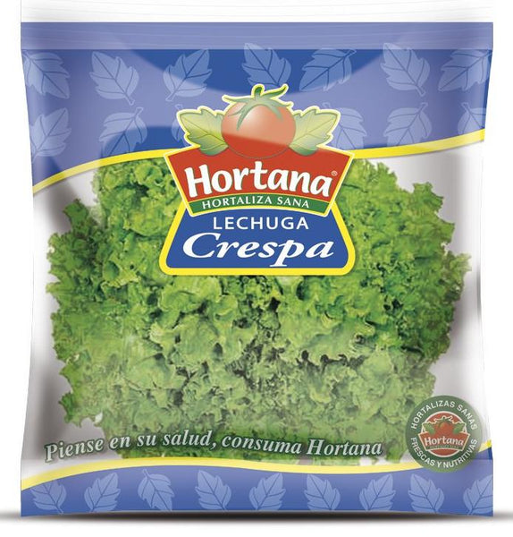 Hortana Lechuga Crespa|Iceburg Lettuce|1 Funda