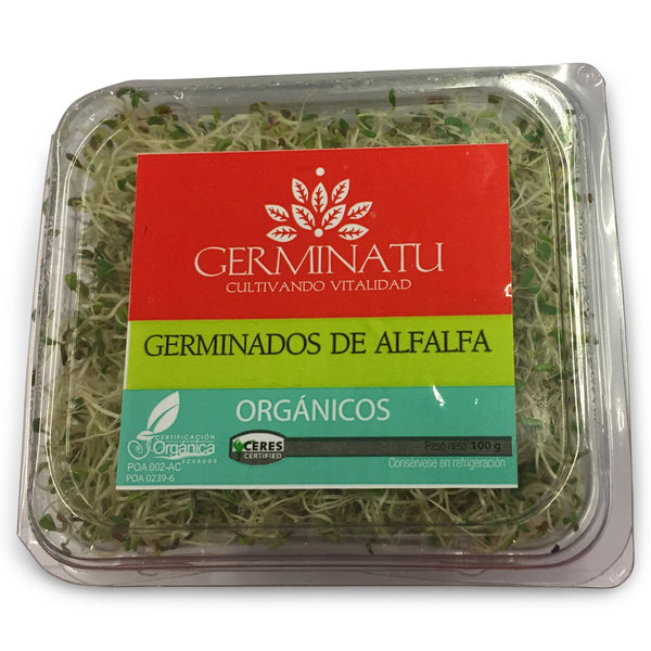 Germinatu Germinados de Alfafa - Orgánico|Alfalfa Sprouts|100 gr