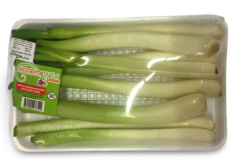 Agromadivisa Cebolla Blanca Rama Charol en Bandeja|Green Onion/Scallion|400 gr