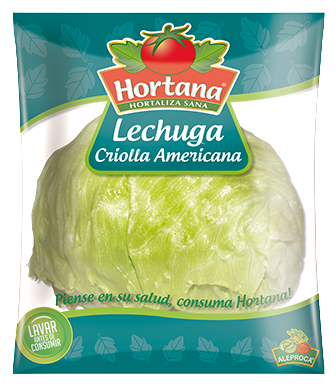 Hortana Lechuga Americana|American Lettuce|1 Funda