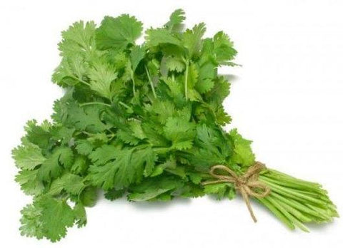 Culantro Atado|Cilantro|1 Atado