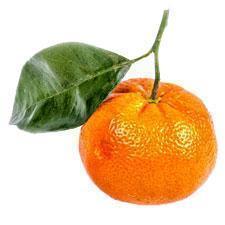 Mandarina Granel|Tangerine|1 Unidad
